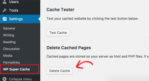 Clear Your WordPress Cache