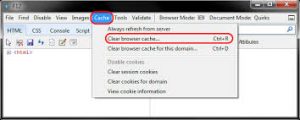 Clear the cache and cookies of the Internet browser