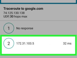 Find the IP address by a domain name