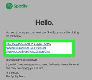 Resetting the Spotify Password